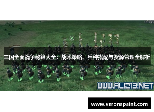 三国全面战争秘籍大全：战术策略、兵种搭配与资源管理全解析