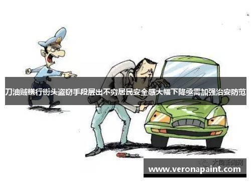 刀油贼横行街头盗窃手段层出不穷居民安全感大幅下降亟需加强治安防范